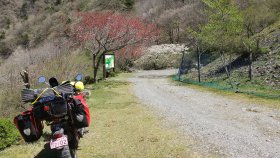 剣山スーパー林道