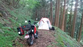 四国カルスト前の廃林道　泊まり地