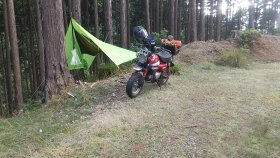 三辻山登山口近くの林道にて