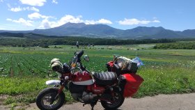 嬬恋のキャベツ畑ぐん