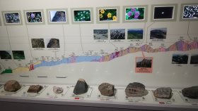 フォッサマグナミュージアム　栂海新道（つがみしんどう）