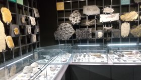 フォッサマグナミュージアム