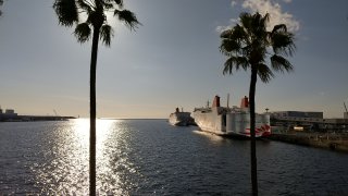 大阪南港サンフラワー