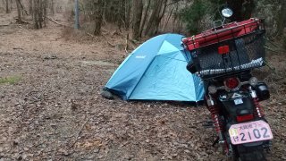 高千穂峰の林道にて